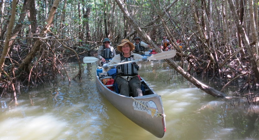 people paddle canoes through trees on an outward bound veterans course.